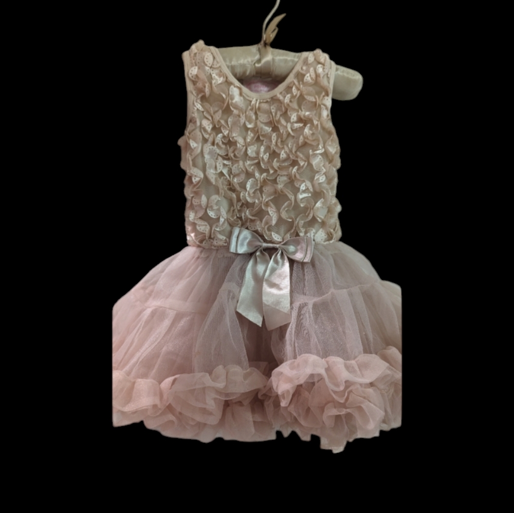 Girl tutu dress